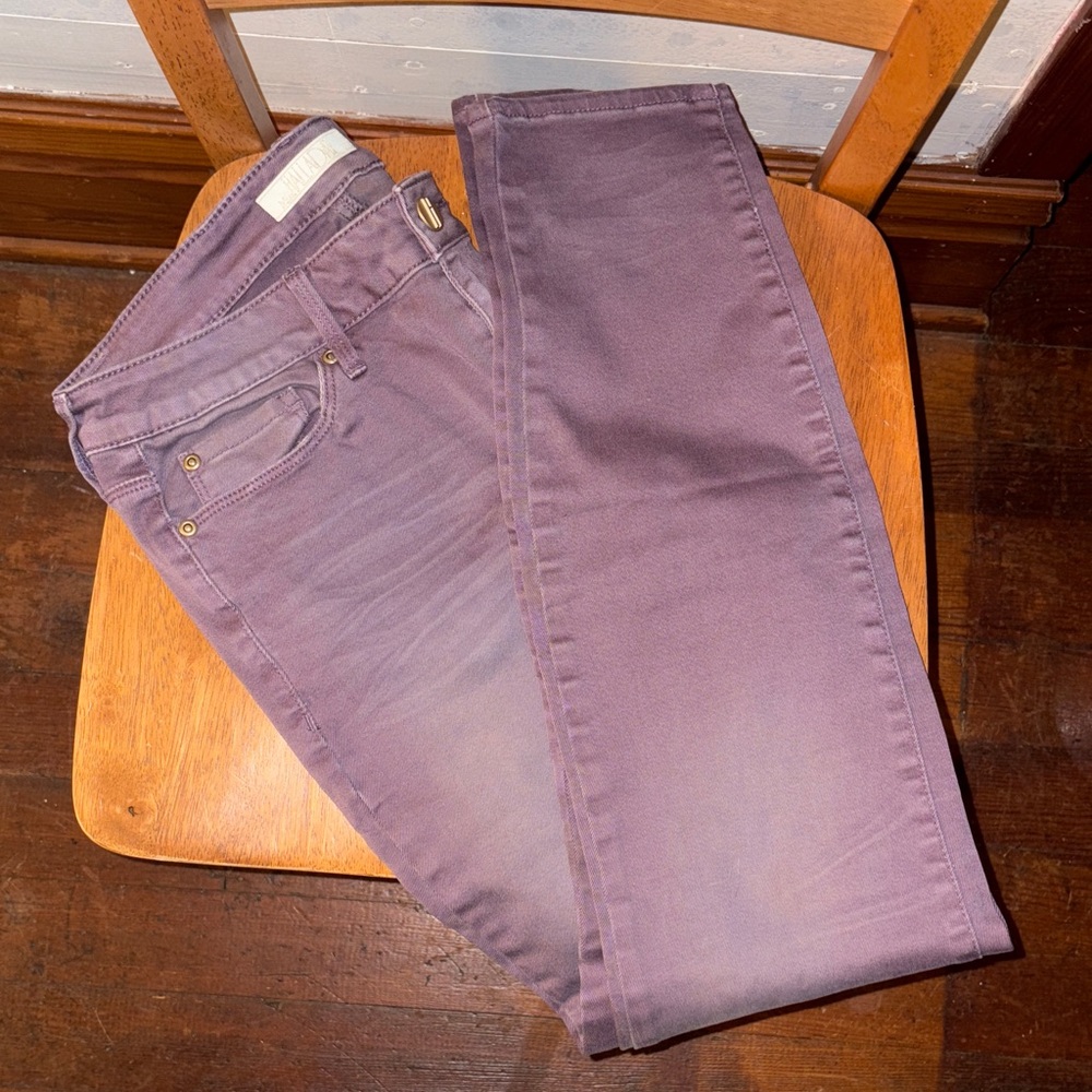 Miss HALLADAY Women's Plum Jeans